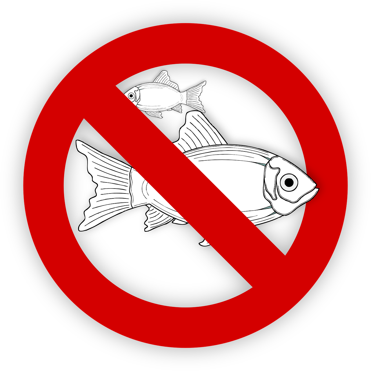 pixabay-995050-452.png